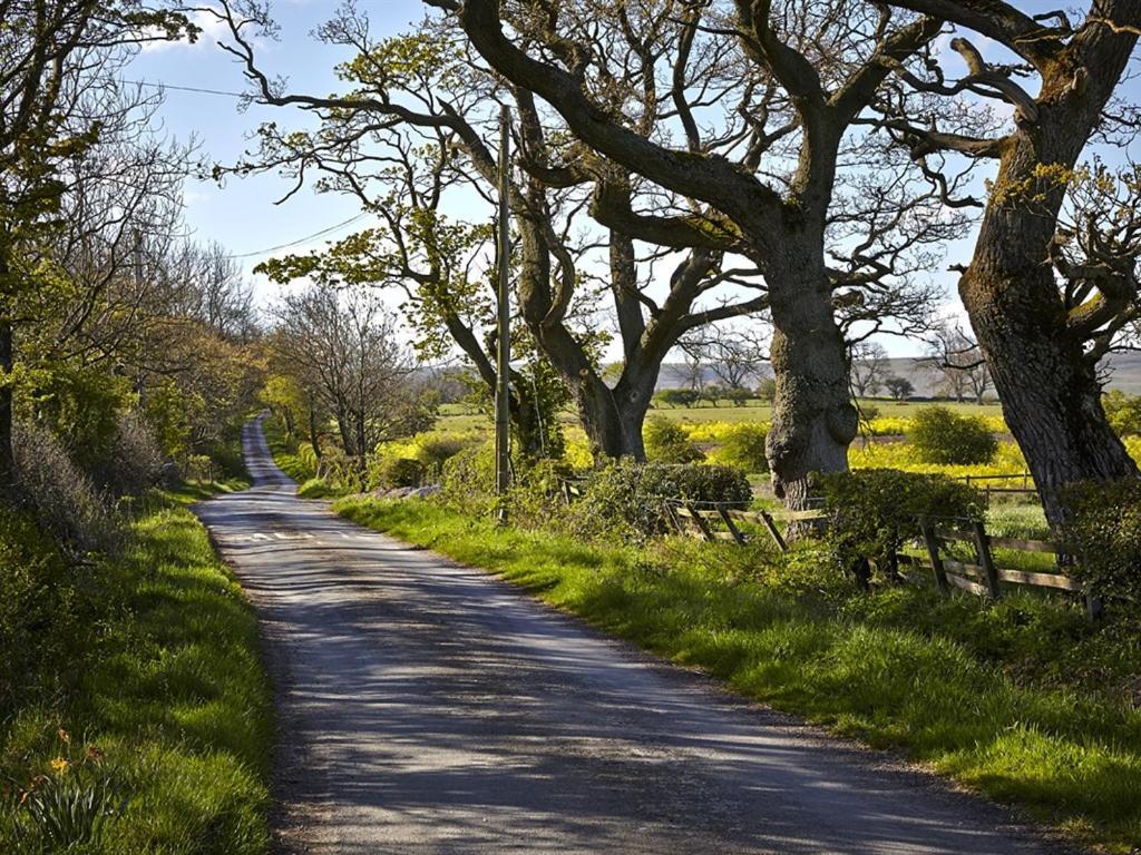 Lily Hill Farm Bed & Breakfast Barnard Castle Eksteriør bilde