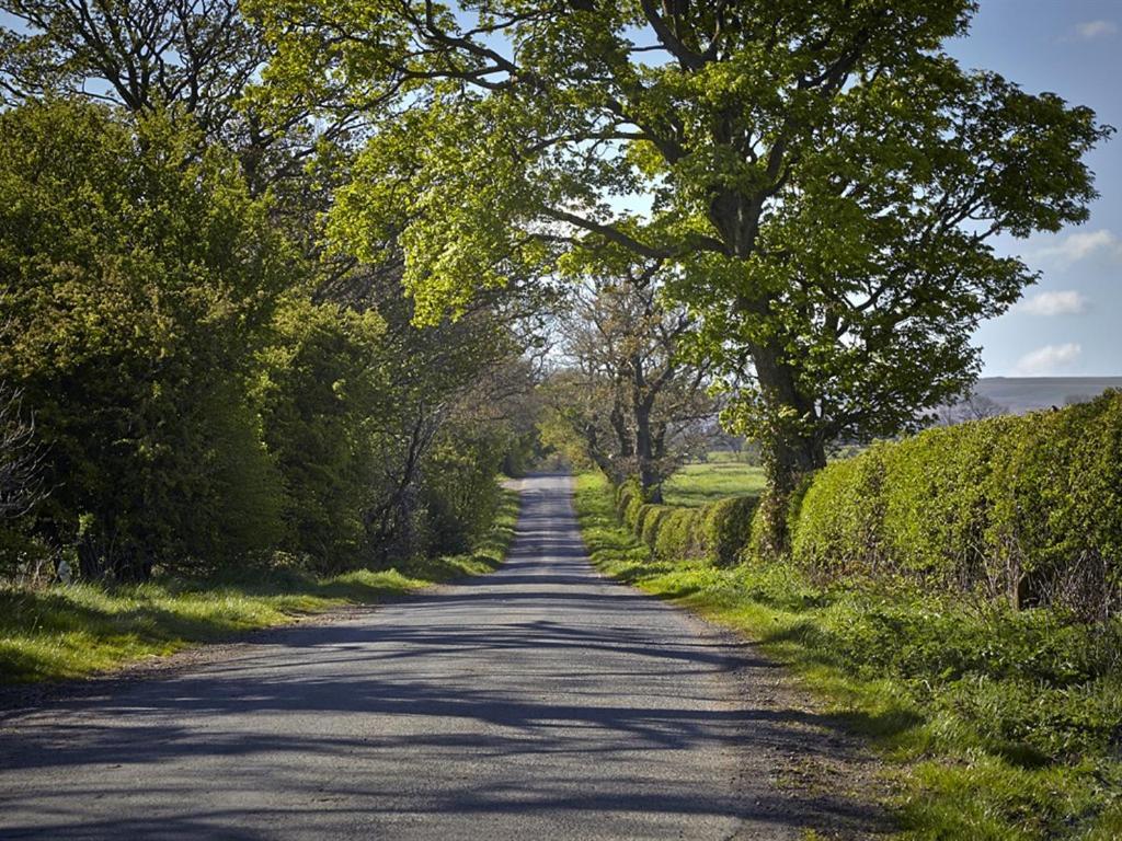 Lily Hill Farm Bed & Breakfast Barnard Castle Eksteriør bilde